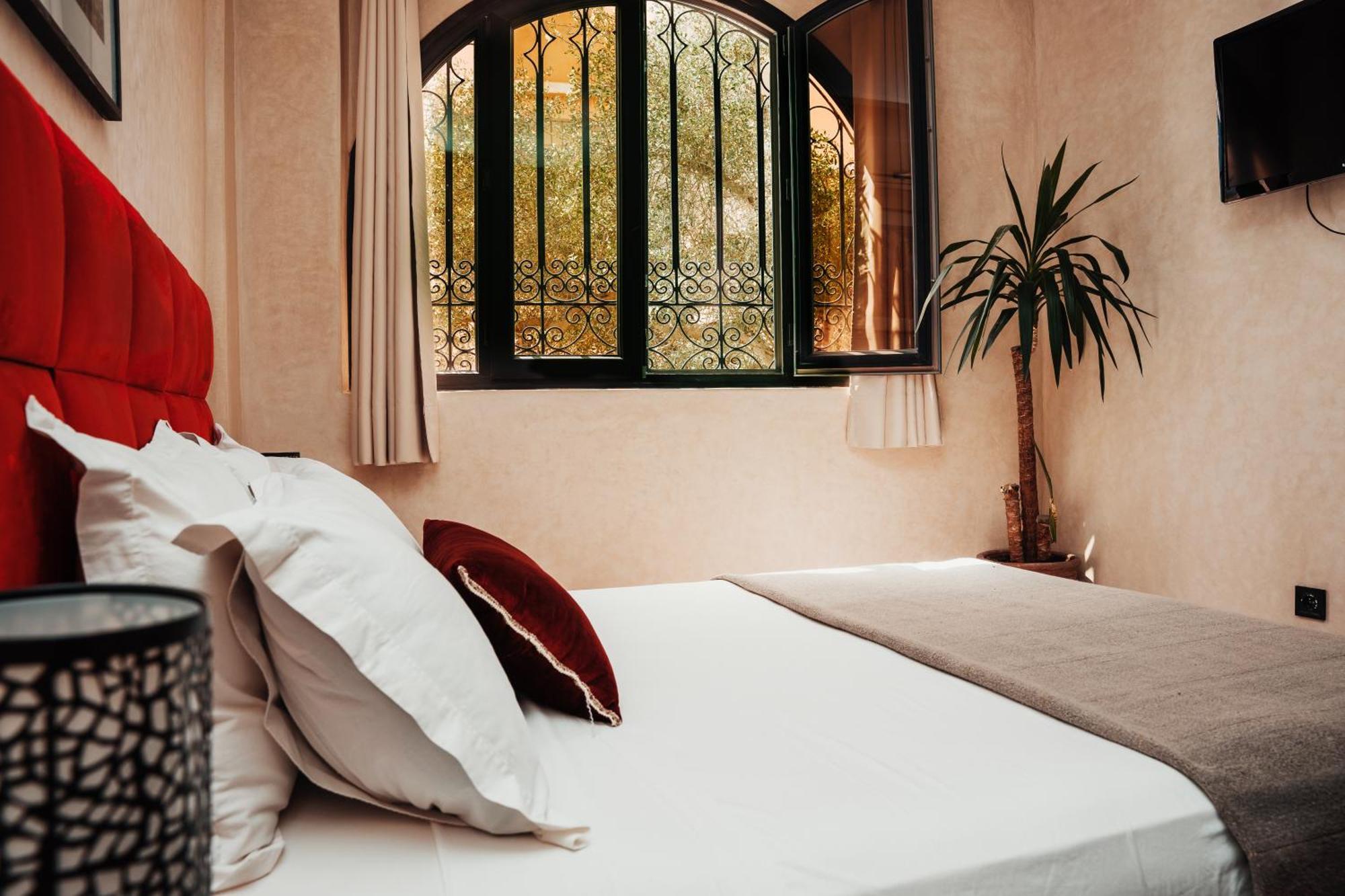 Auberge Riad Dlim Tamraght Екстериор снимка